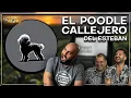 Download Lagu El PERRO CALLEJERO del ESTEBAN