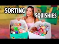 Organizing My PAINTED Squishies