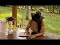 Download Lagu EMILY - Ella (Official Video)