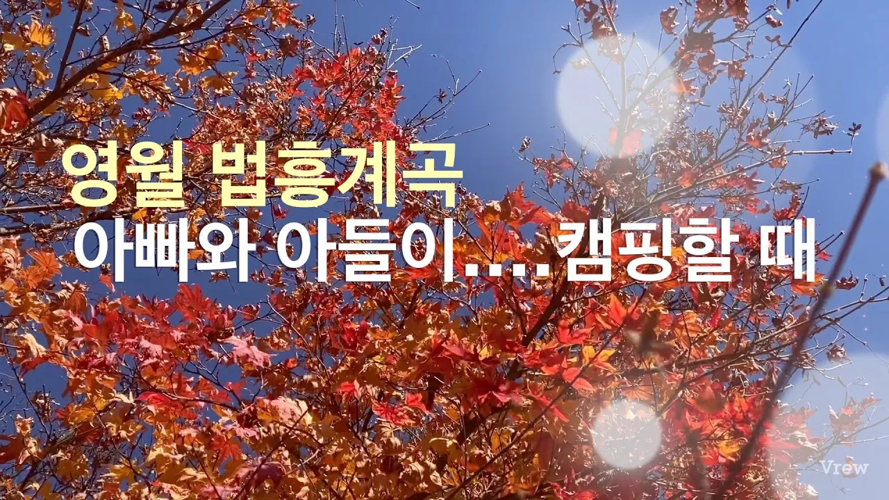 아빠와 아들이...캠핑할 때...영월 법흥계곡 サムネイル