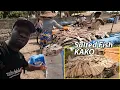 Download Lagu The Unique Process of Authentic Ghanaian Dry Salted Fish, KAKO in West Africa.