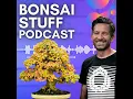 Download Lagu Season 7 Episode 33 - The Story of a European Beech and the Forced Redesign