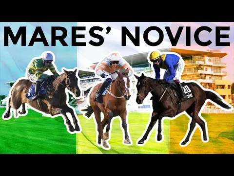 2025 Mares' Novices' Hurdle at Cheltenham Festival