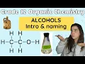 Alcohols Grade 12 Chemistry All about alcohols naming alcohols