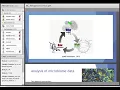 Machine learning approaches used in Microbiome and Metagenome analysis - Dr Chris Fields