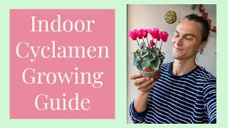 Download CYCLAMEN Ultimate Growing Guide \u0026 After Bloom Care MP3
