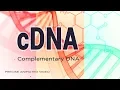 cDNA Complementary DNA