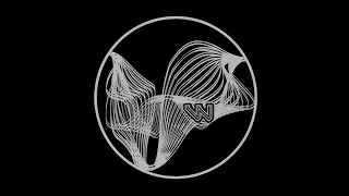wisna irreversible original mix free download 