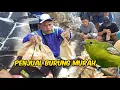 Download Lagu PENJUAL BURUNG VIRAL TERMURAH DI PASAR SPLENDID MALANG KHUSUS ANAK SEKOLAH DAPAT DUA