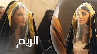 كامل يوسف مابي نسوان مخلفه باوصاف الريم حلوه ريما تسوه خمس اريامه دبكات الريم 
