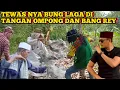 Lagu BANG REY LAMPUNG TERBARU✅BUNG LAGA TEWAS‼️BANG REY DAN OMPONG DUET MAUT‼️