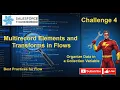 Multirecord Elements and Transforms in Flows Organize Data in a Collection Variable Challenge 4