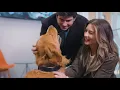 Give The Gift of Dogtopia