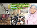 Lagu পশু পাখি পালনের মাধ্যমে প্রকৃতির যে, প্রকৃত সুখটা পাওয়া যায়? এটা কিন্তু সবাই পায়না, goatfarm