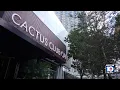 Cactus Club Cafe opens first South Florida location in downtown Miami