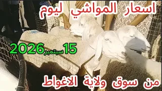                                                                        دندنها