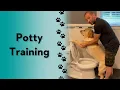 How do you potty train your dog