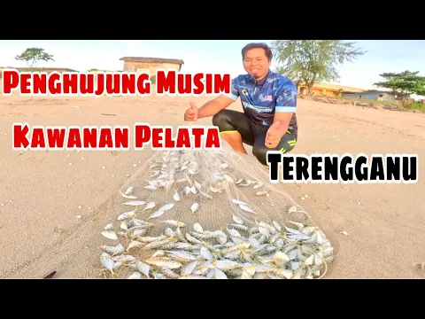 Download MP3 REZEKI BERPAGI-PAGI DI TEPI PANTAI! | Traditional Cast Net Fishing