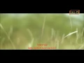 Download Lagu REPUBLIK -selimut tetangga