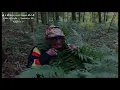Lee "Scratch" Perry "Dreadlocks in moonlight" traduction FR