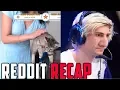 xQc Reacts to Top Funny Clips from LivestreamFails Reddit Recap xQcOW