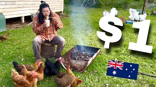 I m a 31 year old stay-at-home dad in Australia I eat 1 cup noodle with fire living on a budget