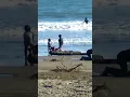Lagu terharu tapi koCAK,moment seorang ayah bermain di pantai bersama anak2Nya #shorts #wisata #mencoba