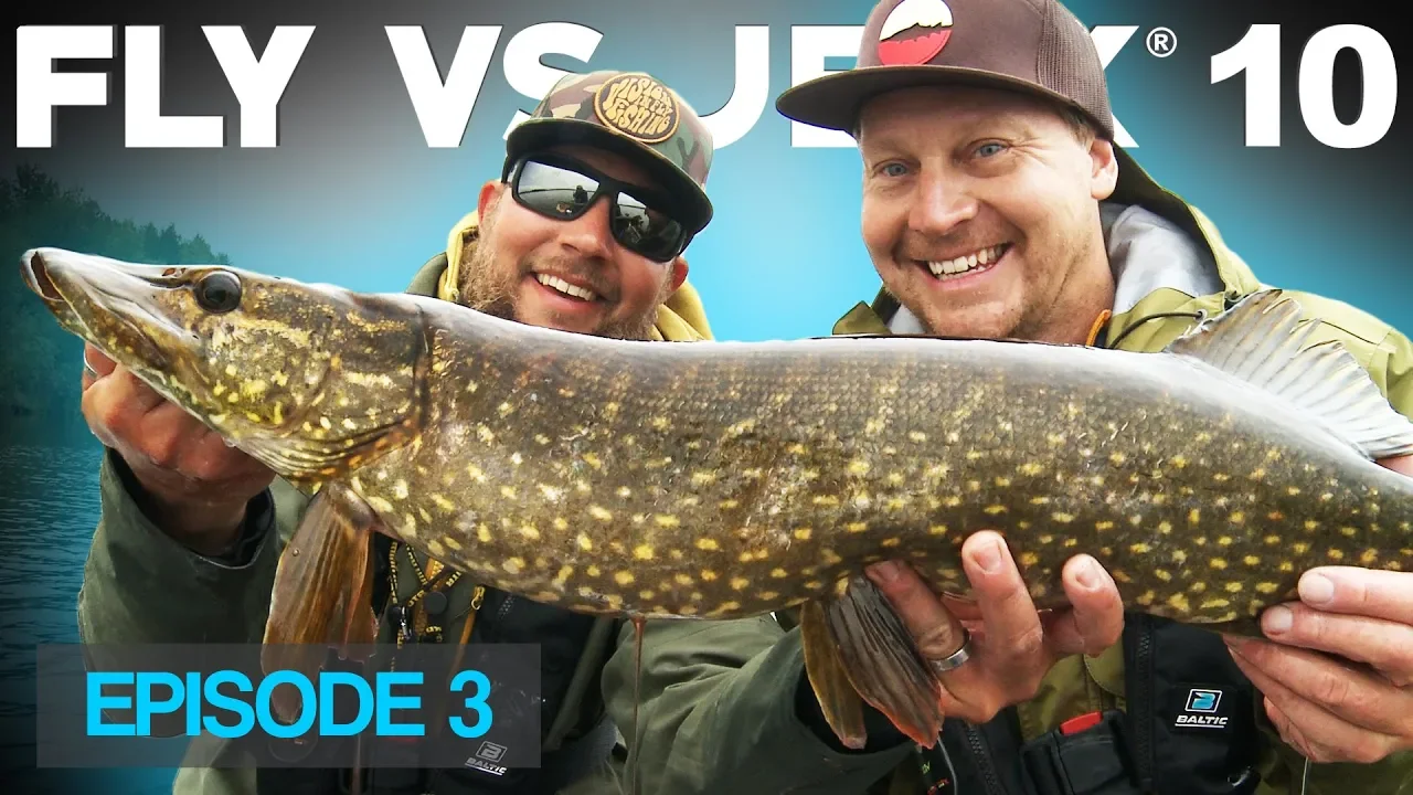 video Fly vs Jerk 10 - Reality pike fishing competition