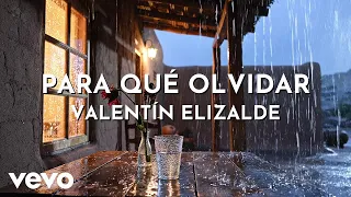 Valentín Elizalde - Para Qué Olvidar (Visualizer)