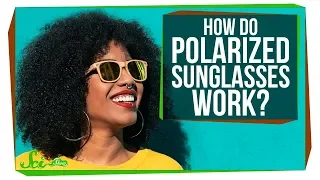 Download How Do Polarized Sunglasses Work MP3