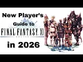 Final Fantasy XI What Every New Player Should Know