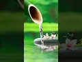 Download Lagu Deep Sleep Music, Calming Music, Insomnia, Sleep, Relaxing Music, Study, Sleep Meditation, healing