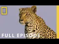 Download Lagu The Flood (Full Episode) | SPECIAL