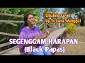 Download Lagu SEGENGGAM HARAPAN - BLACK PAPAS || UKULELE COVER BY SUZANA WANGGAI
