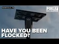 Have you been Flocked Website checks if your license plate was searched in LPR network