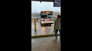 Queens New York - Q36 Bus