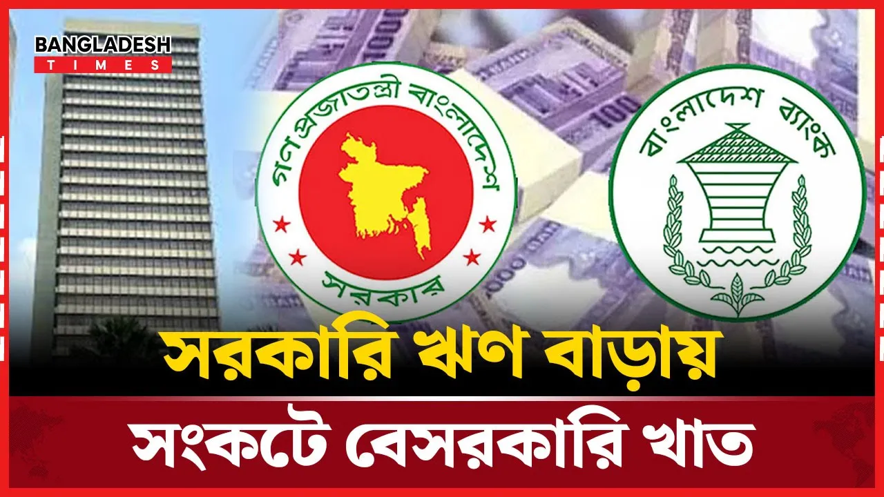 ব্যাংক ঋণ নির্ভরতায় ৬০% বৃদ্ধি, চাপে বেসরকারি খাত