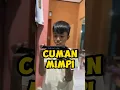 Download Lagu Cuman mimpi