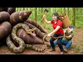 Download Lagu Unbelievable! 100kg Taro Harvest for Market – See How We Cook a Tasty Pork Rib Taro Stew!