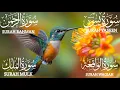 Download Lagu Amazing Quran recitation Surah Yasin🧡Surah Rahman 🧡Surah Waqiah🧡Surah Mulk #qurantilawat Episode465