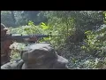 DERAP KOMANDO.wmv