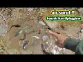 Lagu SAAT AIR SURUT BANYAK IKAN DIPINGGIR IRIGASI 