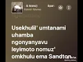Spani Sam I Kelvin Momo featuring Zeenhle, Mashudu & Mano