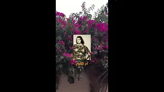 اقول امتى أنا وأنت      مقطع من دليلي ا حتار     أم كلثوم دندنها
