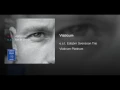 Viaticum - e.s.t. Esbjörn Svensson Trio