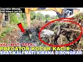 Download Lagu [Full Video]Predator Kocar Kacir Saat Bongkar Kali Mati Kirana
