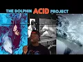 Download Lagu The Experiment That Broke a Dolphin's Heart