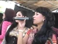 Download Lagu Pengantin Baru All Artis New Palapa live Puncakwan