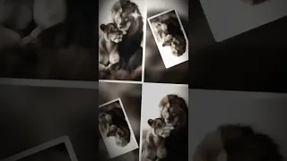 ١١ يونيو ٢٠٢٥ 