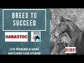 Breed To Succeed 2021 Pedigree Research and Matching Case Studies